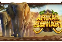 African Elephant Slot Game