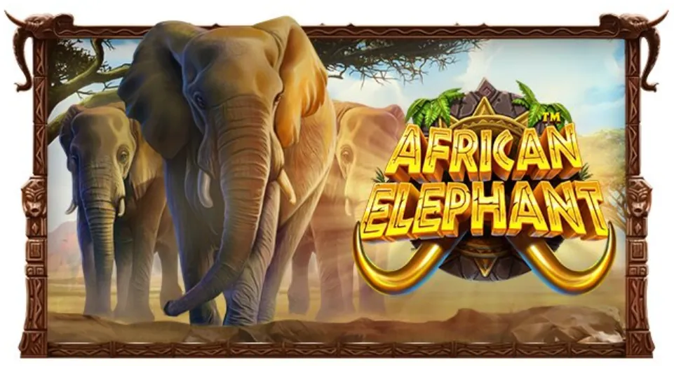 African Elephant Slot Game